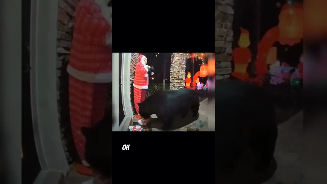 Bear Steals World's Best Chicken Nuggets 😂