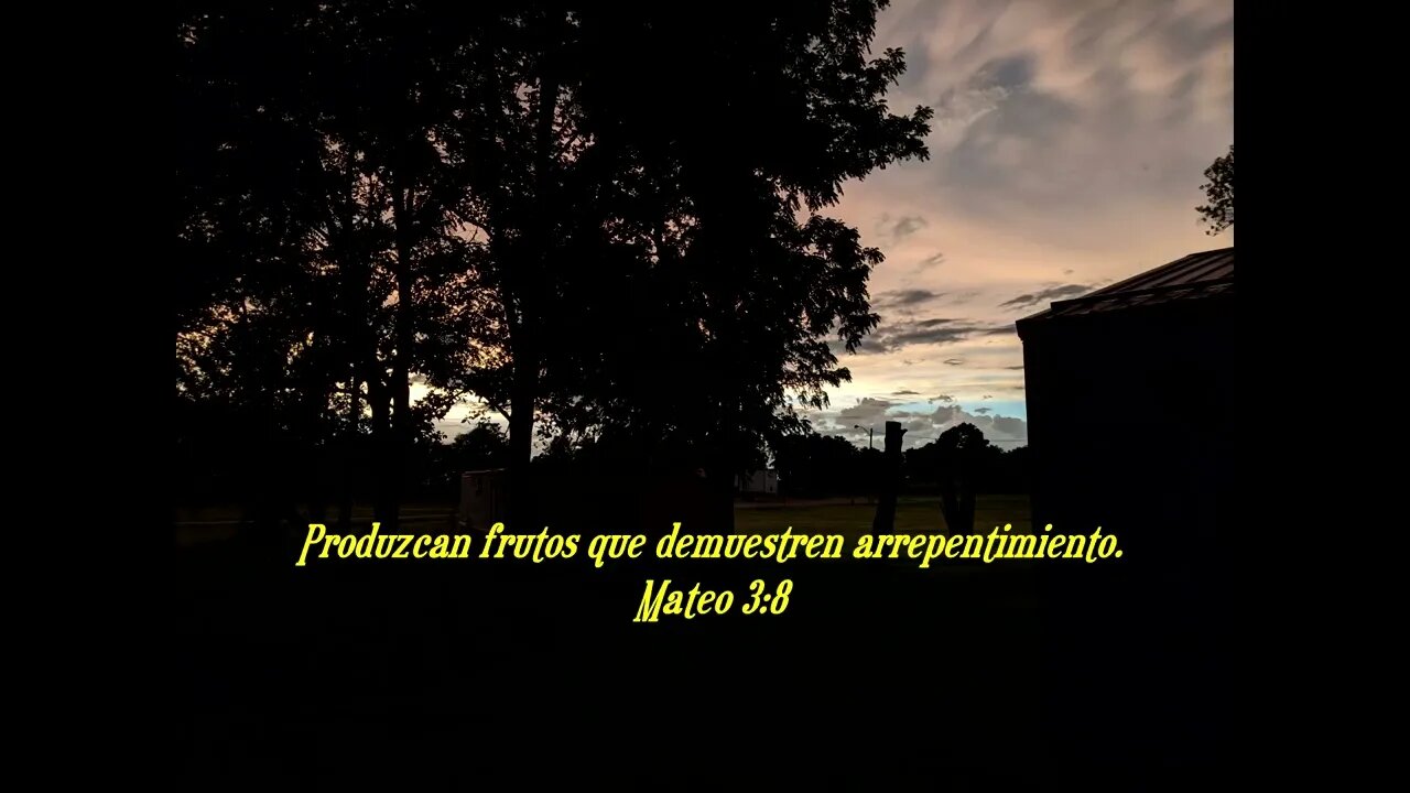 Versículo bíblico diario para hoy