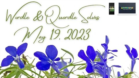 Wordle and Quordle of the Day for May 19, 2023 ... Happy Plant Something Day!