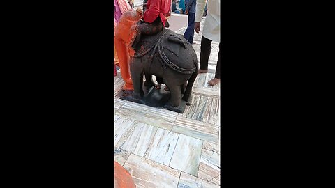 Narmada mai ki jay
