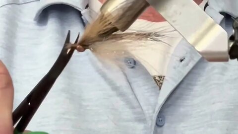 #10 Hook Dwarf Coyote Minnow #flyfishing #fishing #bass #fish #flytying #bassfishing #fishinglife