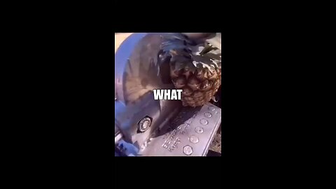 WHAT