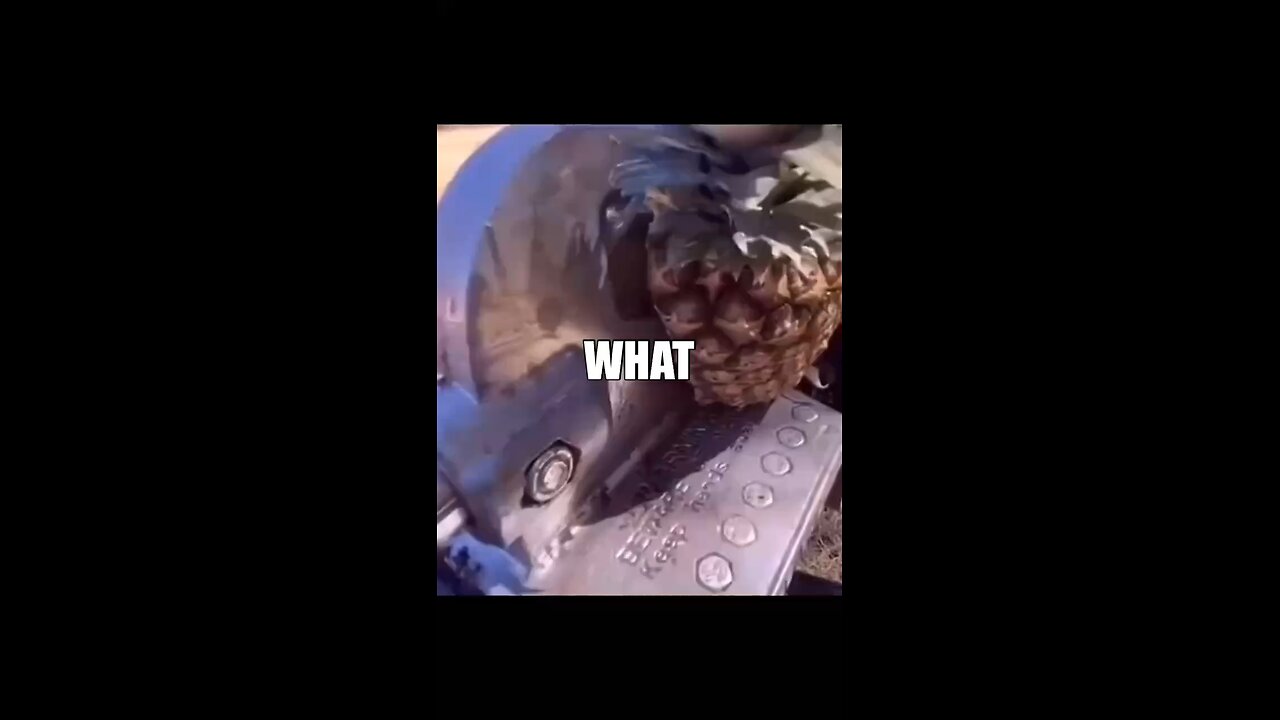 WHAT