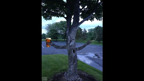 Drunk tree shaking ass 😂🤣