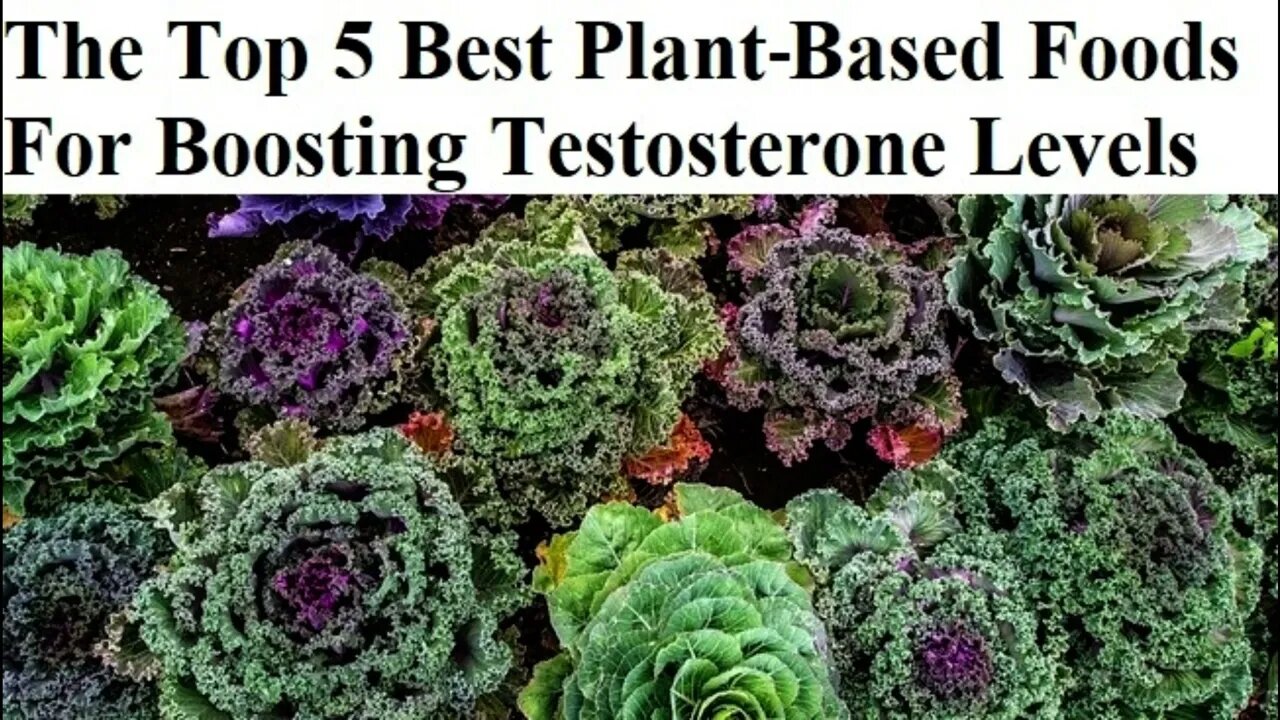 The Top 5 Best Plant Based Foods For Boosting Testosterone Levels