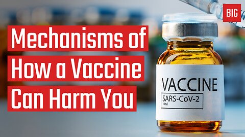 Mechanisms of How a Vaccine Can Harm You