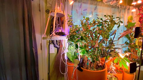 Plant life!!