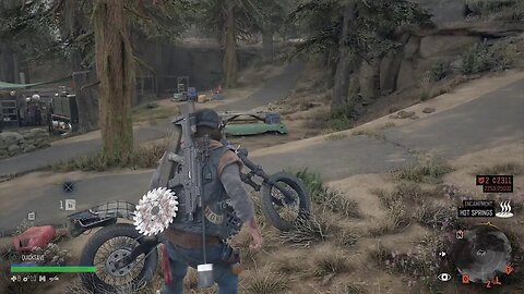 Days Gone
