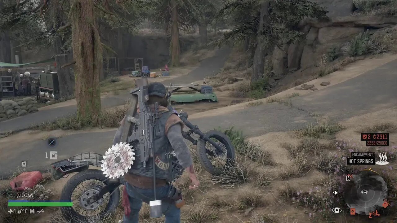 Days Gone