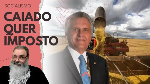 CAIADO quer APROVEITAR fim de LEGISLATURA para passar NOVO IMPOSTO sobre AGRONEGÓCIO em GOIÁS