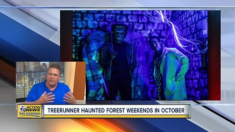 The Haunted Forest returns to TreeRunner Adventure Parks
