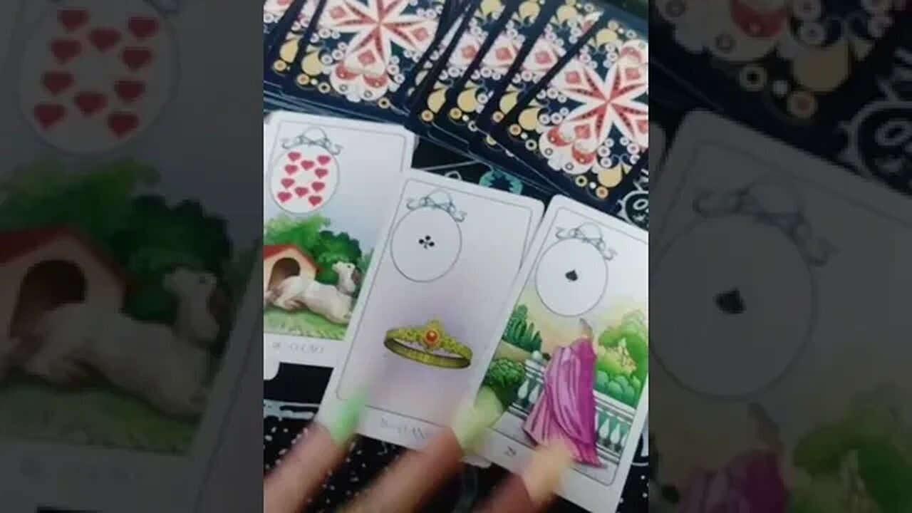 PROPOSTA INACREDITÁVEL #tarotresponde #tarotreading #tarotdoamor #relacionamento #cartomante