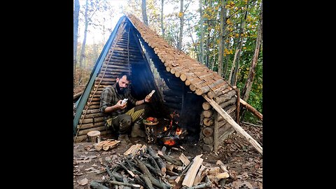 How to build bushcraft survival shelter, outdoor camping and wilderness cooking, Funny dog