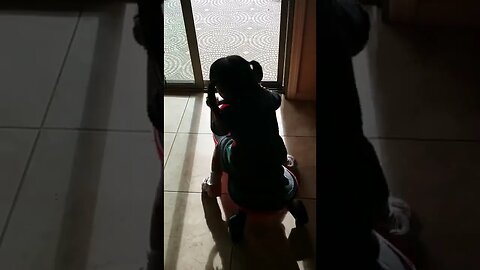 Tasha Sings ABCs while Riding Her Car