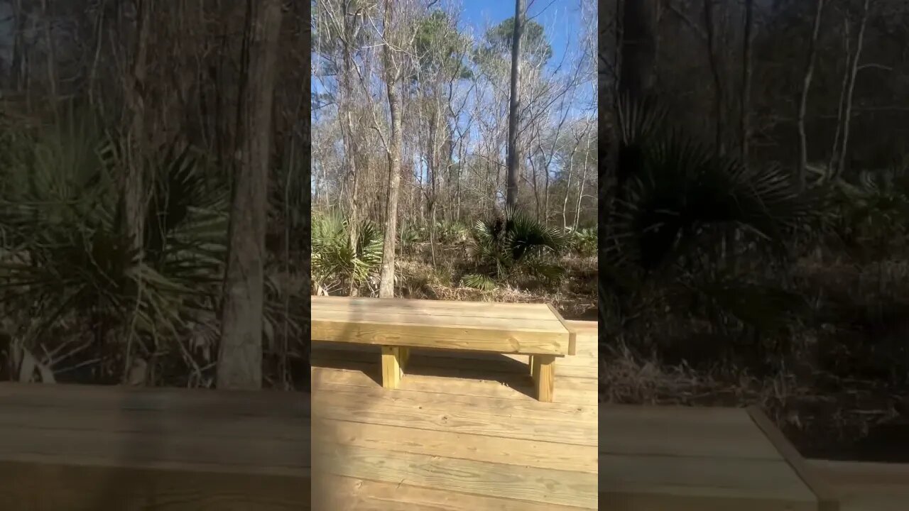 Beautiful Day to Hike East End Park in Kingwood, Texas | Houston Hike and Bike Trails