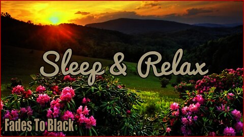 Sleep & Relax: Beautiful Uplifting Inspirational Ambient, Contemporary & Classical Music Video's