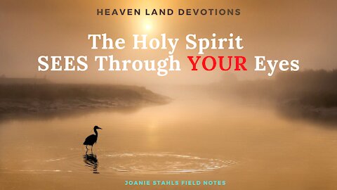 The Holy Spirit SEES Through YOUR Eyes