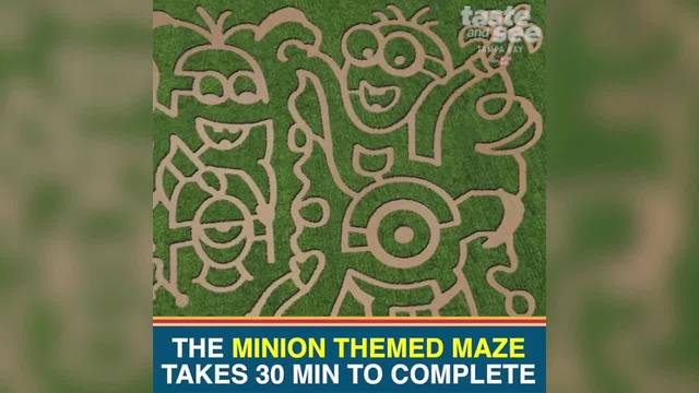 Florida corn maze and pumpkin patch among the fun at HarvestMoon Farm