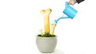 Scientists Re-Grow Bone