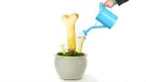 Scientists Re-Grow Bone