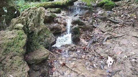 Three Hundred Springs lower falls - Green River, KY
