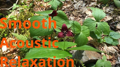 Smooth Acoustic Relaxation