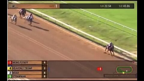 Horse Named 'Heavenly Trump' Wins at After Lead Horse Hits the Rail