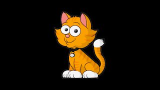 10 Ways To Get Friendly With A Cat