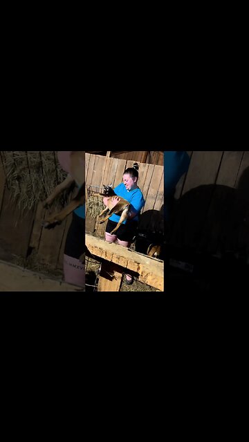 And Every Other Night, Too #shorts