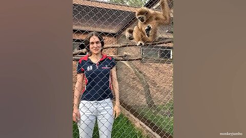 Funny animals with humans! 😂