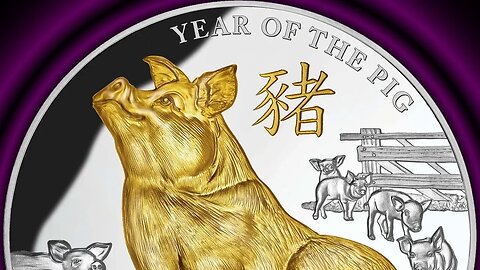 2019 Year Of The Pig 5 Oz Gilded Silver Coin