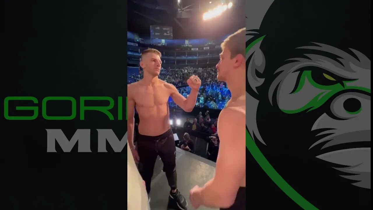 Arnold Allen vs Dan Hooker: UFC London Face-off