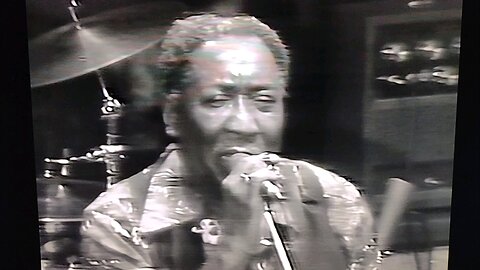 Muddy Waters 1981 She's Nineteen Years Old Live