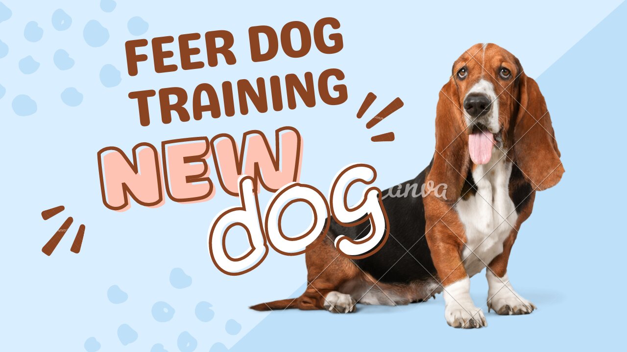 How to traning a dogs | Dog training videos | How to train a Dog |