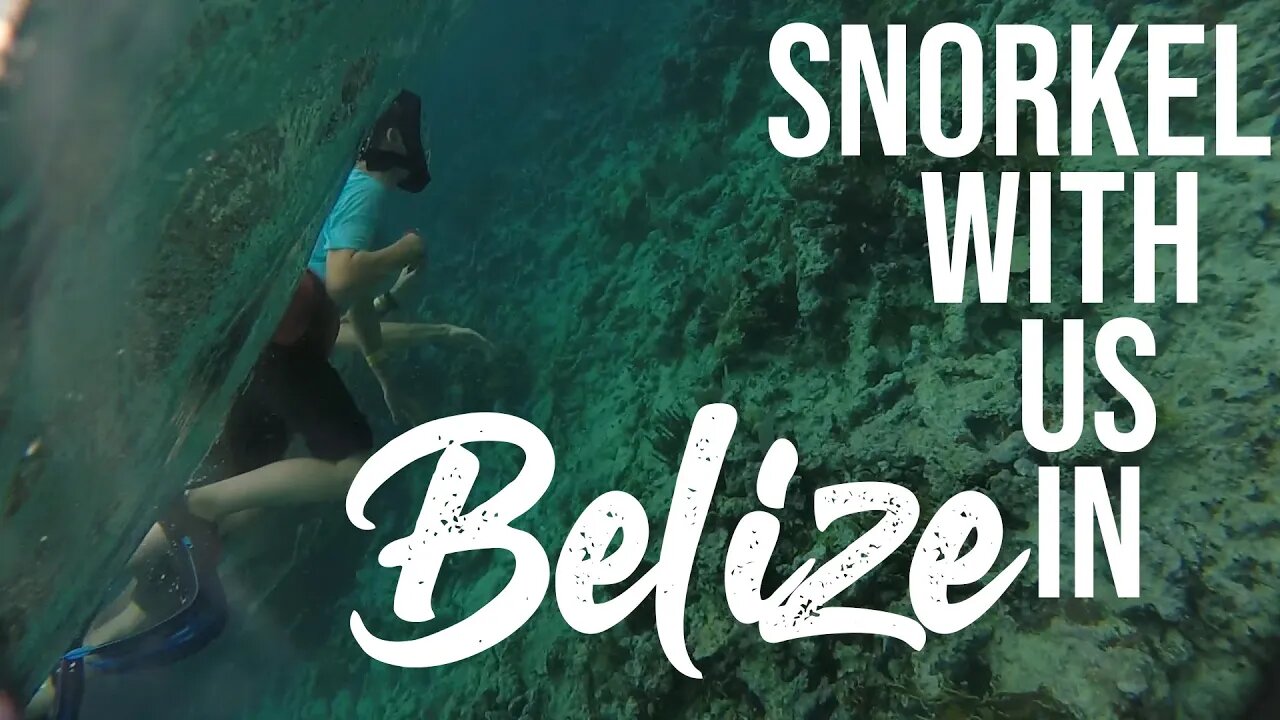 Snorkel With Us/ Goff"s Key,Belize&Chankanaab National Park, Mexico/ Royal Caribbean