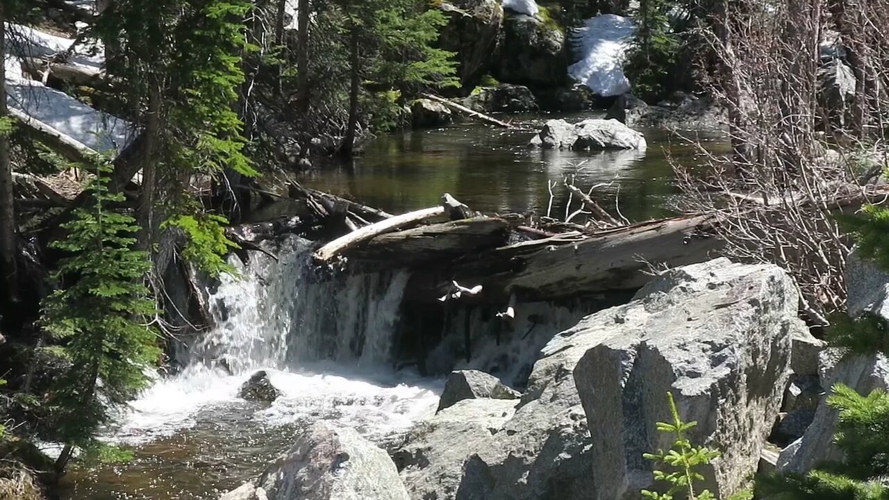 60 Seconds in Nature: Beaver Pond at 10,200ft