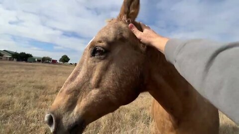 Buddy Cut Leg - Warning Bloody Leg Is Shown In This Video