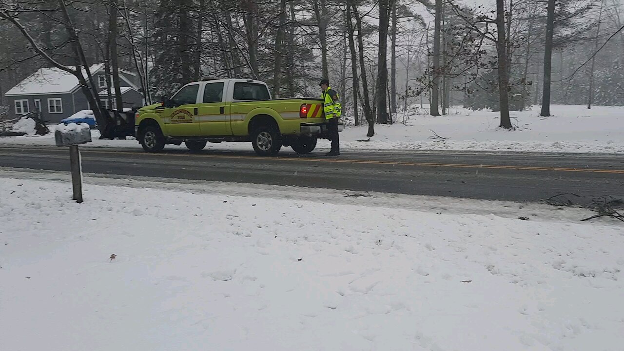tree down march 24 maine .