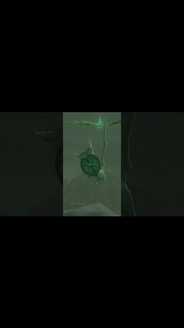 Zelda [TOTK] Ya Ha Ha