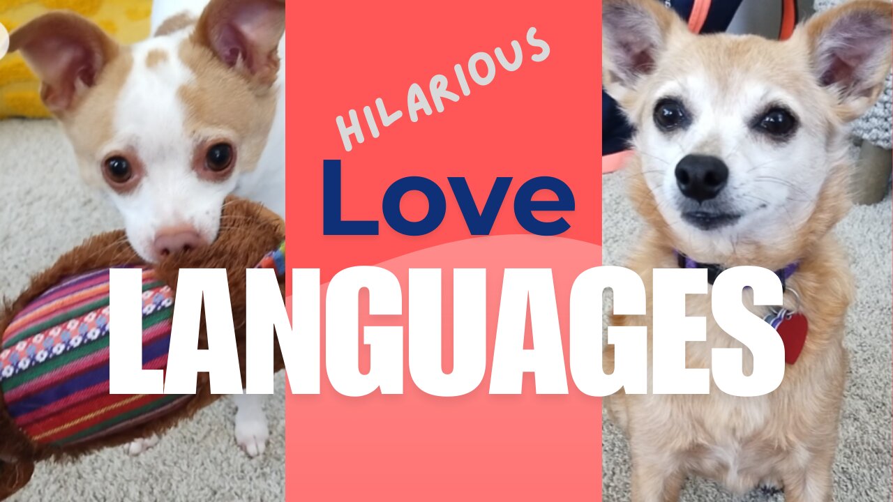 Dog Love Languages