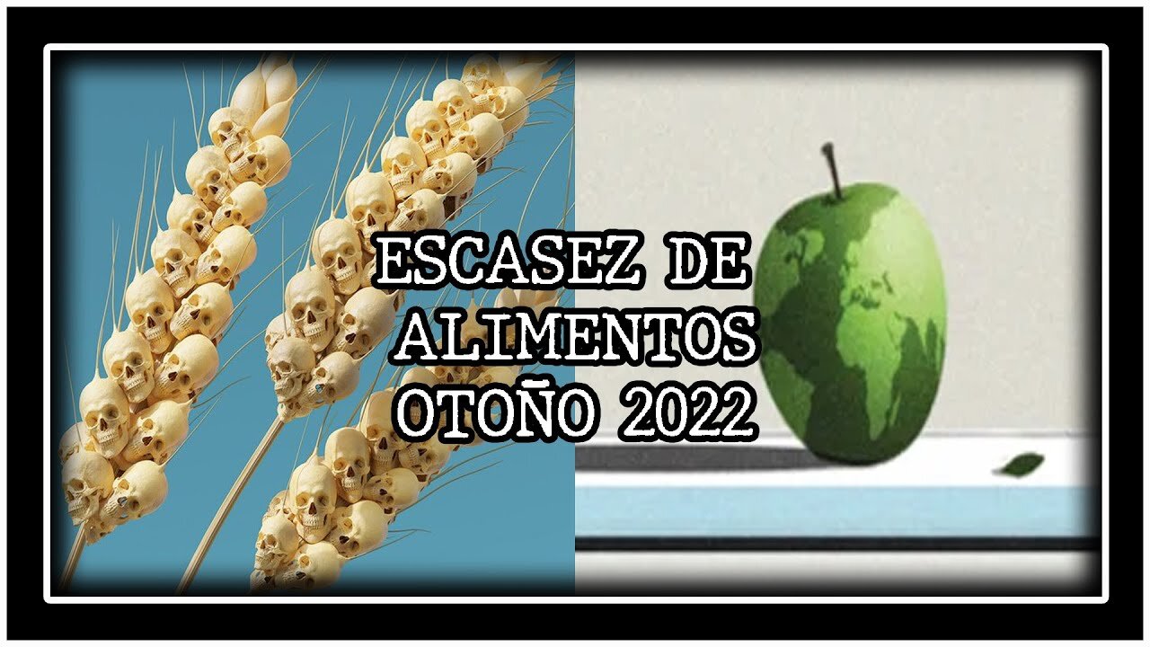 LA CATASTROFE ALIMENTARE CHE INCOMBERà NELL'AUTUNNO 2022? SECONDO LA RIVISTA DI "ECONOMIA" "THE ECONOMIST" DI PROPRIETà DEI SOLITI NOTI DOVE TI PREDICONO UN FUTURO SEMPRE ROSEO ED OTTIMISTA