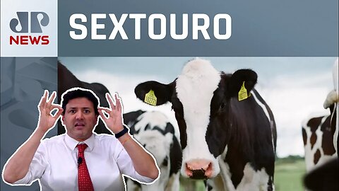 Ata realista, um ano de guerra na Ucrânia e vaca louca são destaques | Sextouro