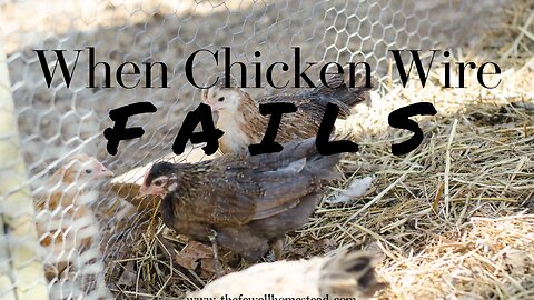 When Chicken Wire Fails