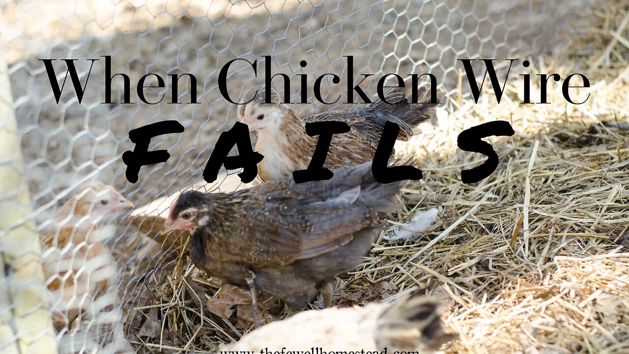 When Chicken Wire Fails