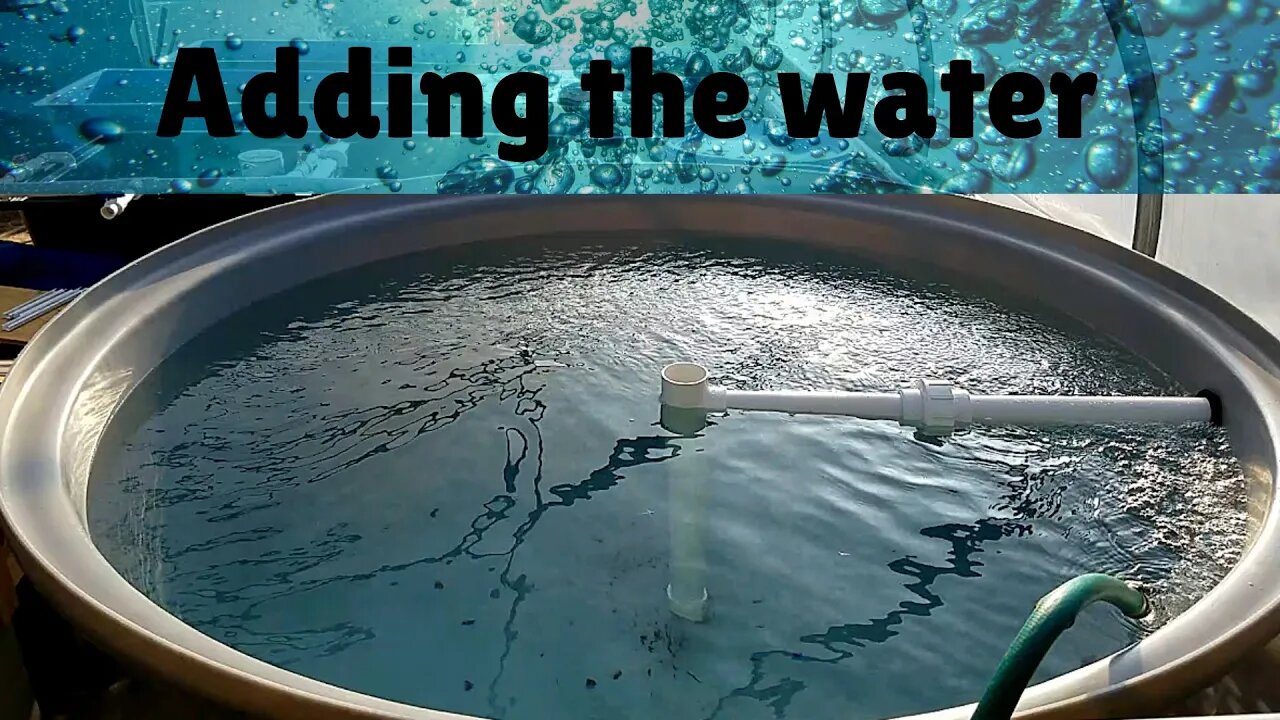 Adding the water (aquaponics system)