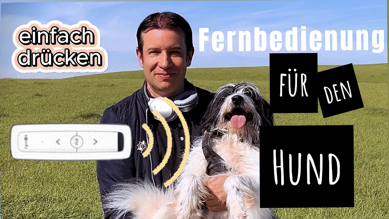 Eine Fernbedienung für den Hund - Geht das?
