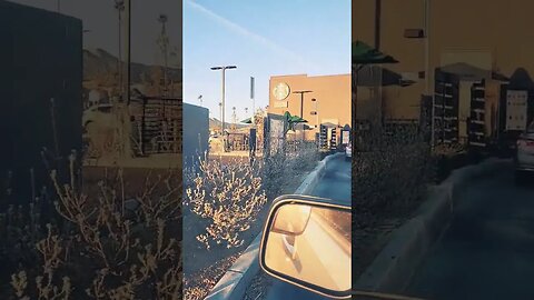 Tony Pizza Starbucks