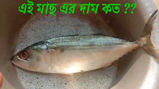 এই মাছের দাম কত??