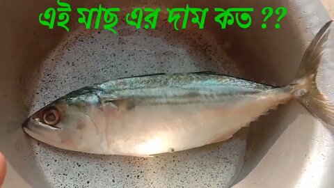 এই মাছের দাম কত??