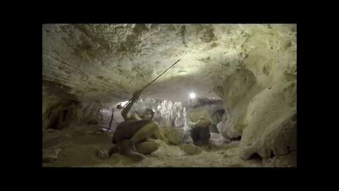 Oldest known figurative cave art discovered in Borneo